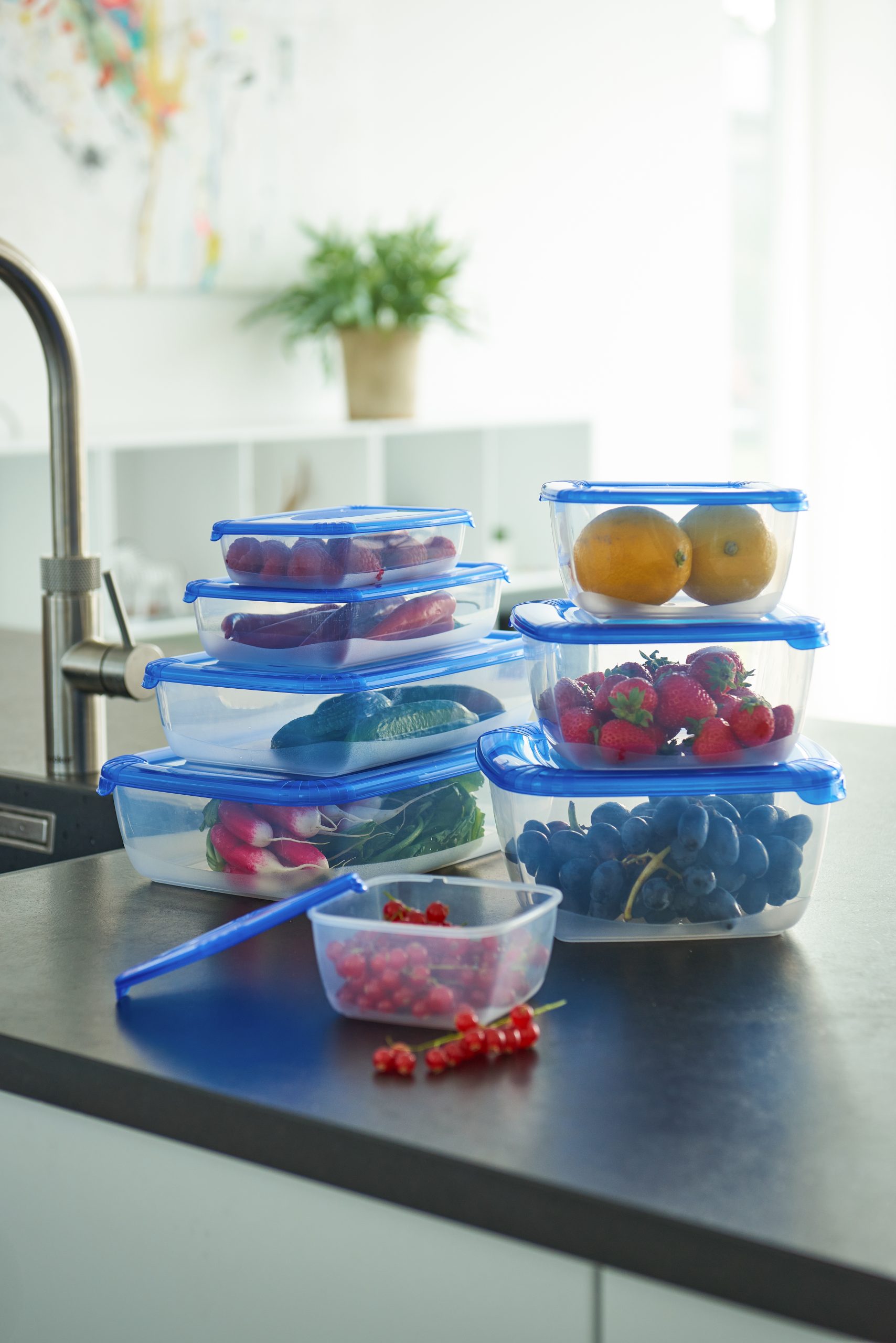 polar pack lunch box